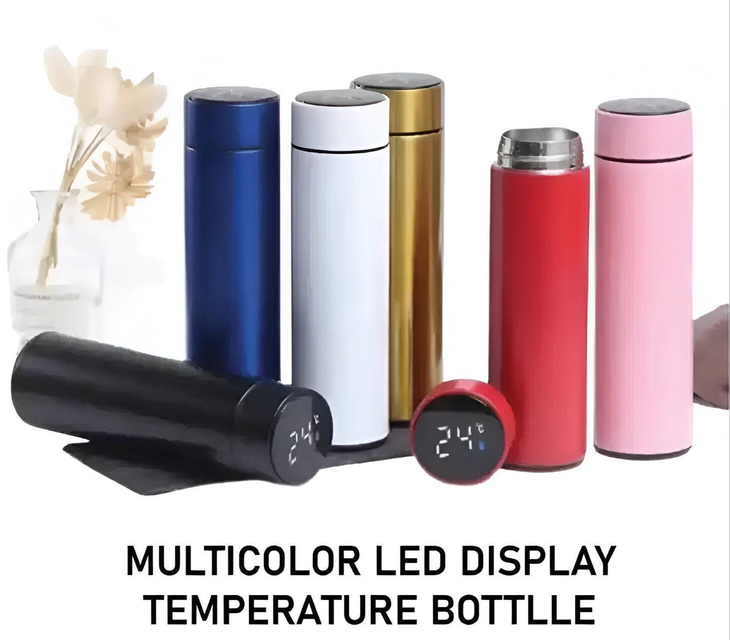 Temperature Display Water Bottle