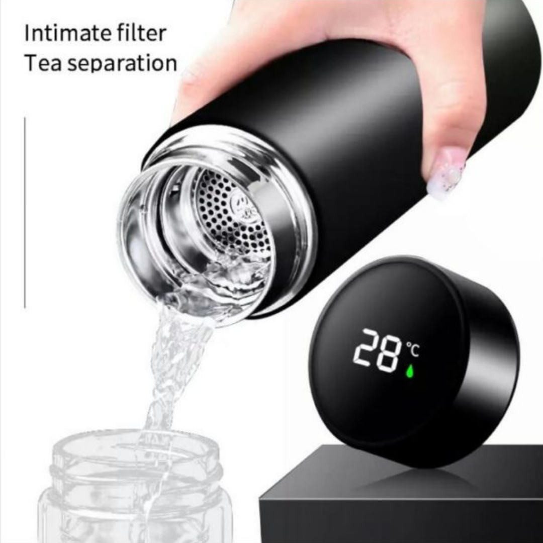 Temperature Display Water Bottle