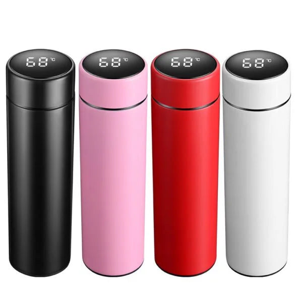 Temperature Display Water Bottle