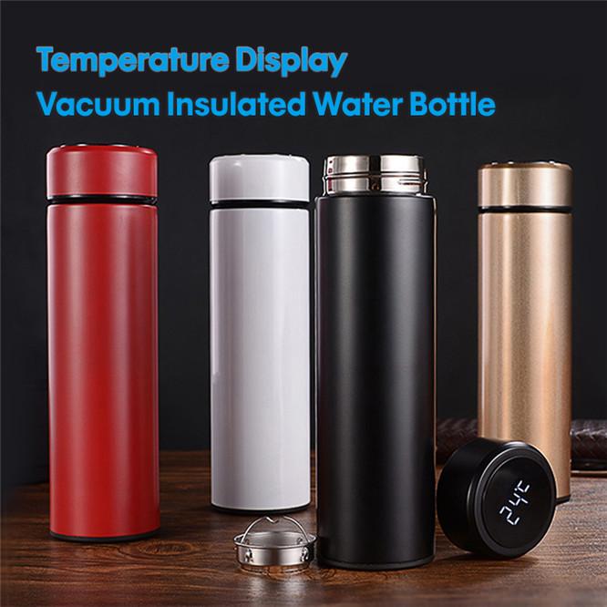 Temperature Display Water Bottle