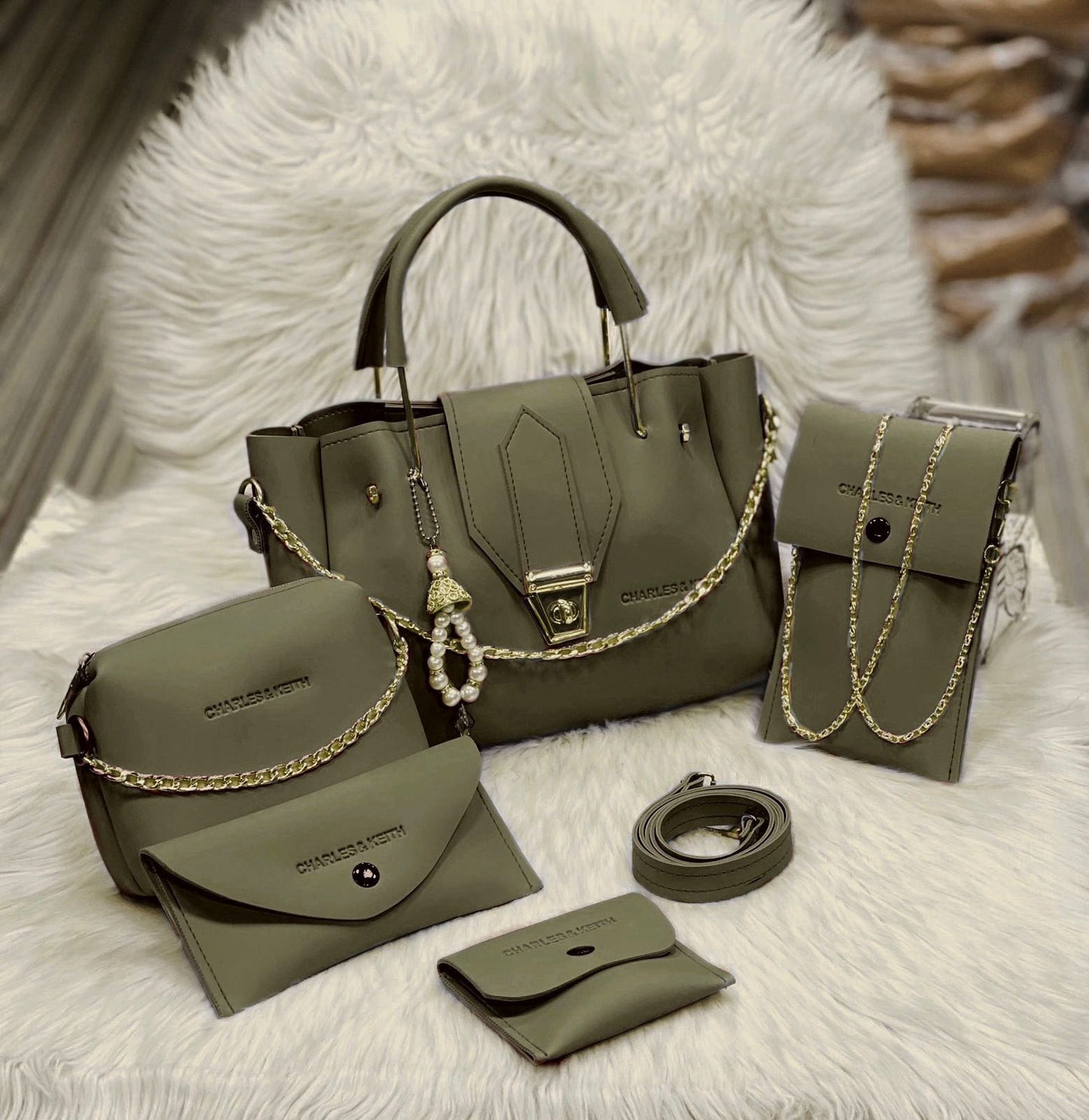 Charles & Keith 5 Pcs Bag Set