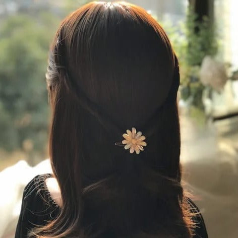 Elegant 4ps Clip Pack