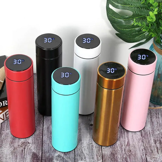 Temperature Display Water Bottle