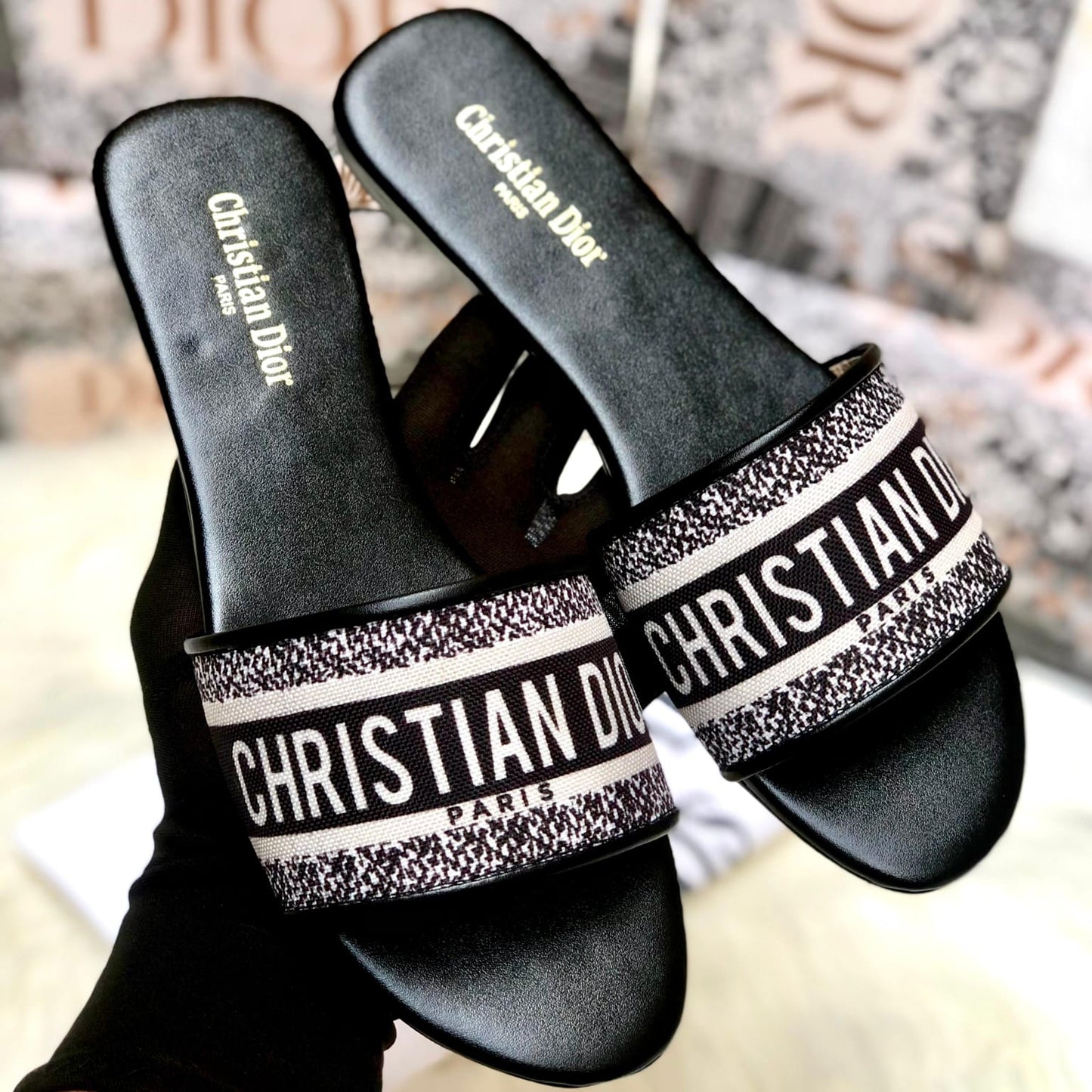 Christian Dior Slippers Master Copy